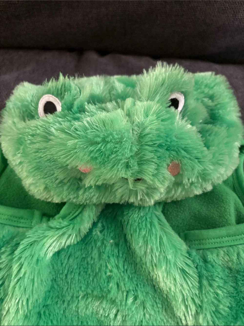 🐸💚 Frog Dog Costume – Size Large – Soft & Adorable! 💚🐸